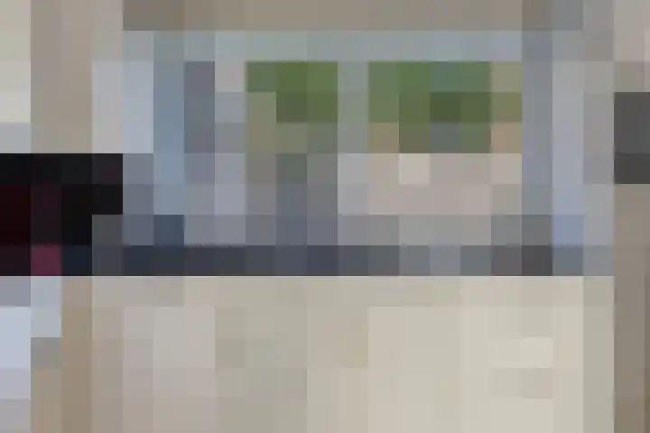 Boommarter 5 Veldhoven thumbnail 12