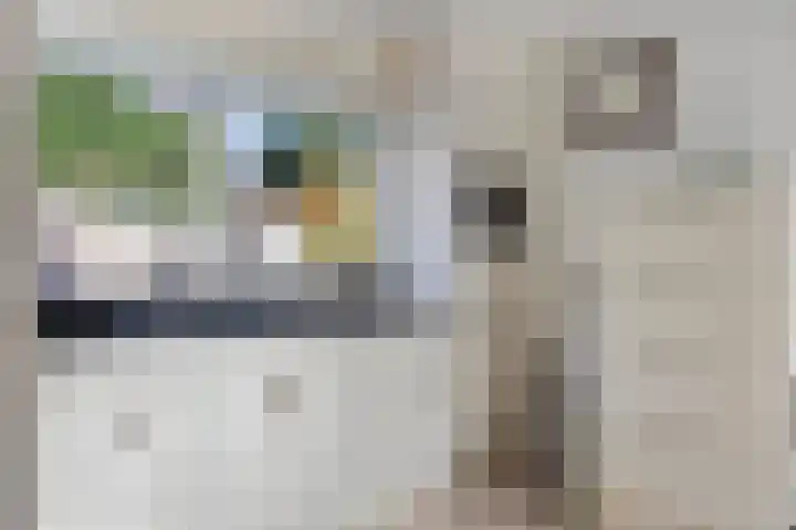 Boommarter 5 Veldhoven thumbnail 13
