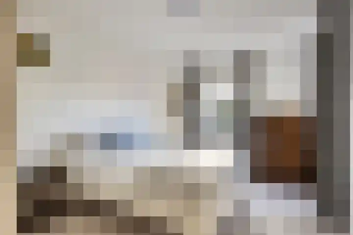 Boommarter 5 Veldhoven thumbnail 20