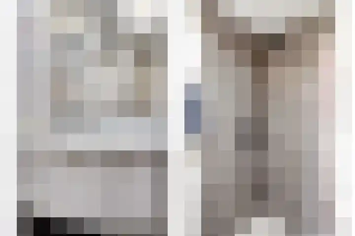 Boommarter 5 Veldhoven thumbnail 23