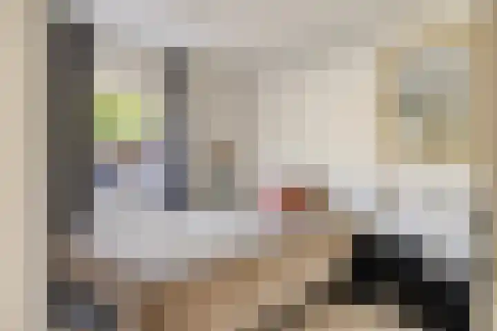 Boommarter 5 Veldhoven thumbnail 24