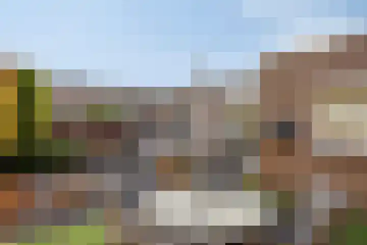 Boommarter 5 Veldhoven thumbnail 27