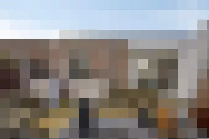 Boommarter 5 Veldhoven thumbnail 29