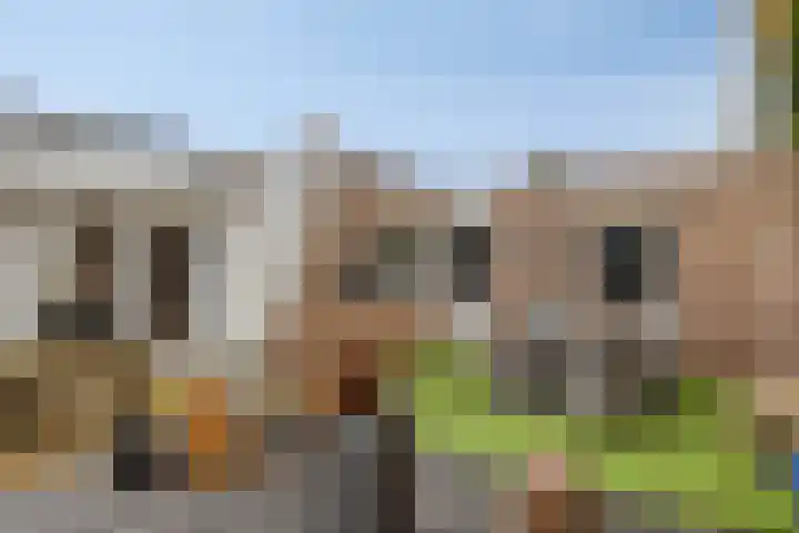 Boommarter 5 Veldhoven thumbnail 4