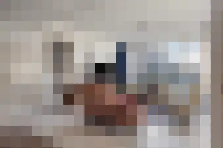 Boommarter 5 Veldhoven thumbnail 7