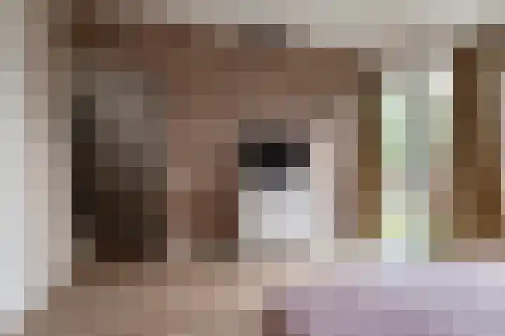 Boommarterhof 22 Culemborg thumbnail 18