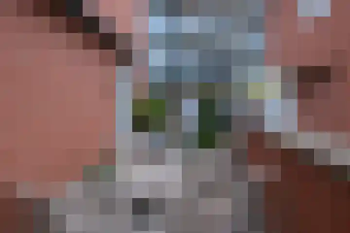 Boompjes 2 Almelo thumbnail 14