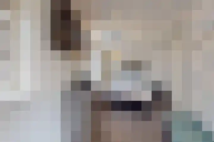 Boompjes 2 Almelo thumbnail 17