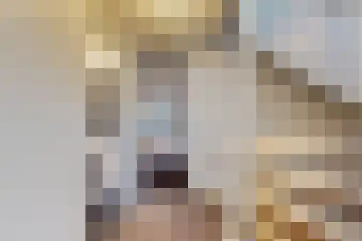 Boompjes 2 Almelo thumbnail 26