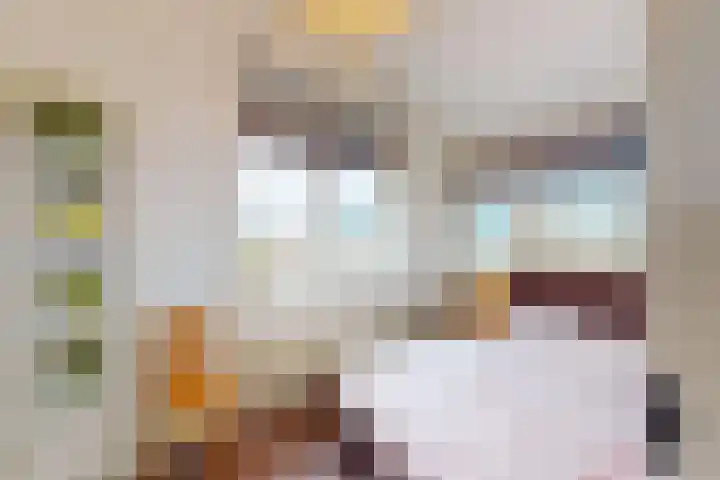 Boompjes 2 Almelo thumbnail 29