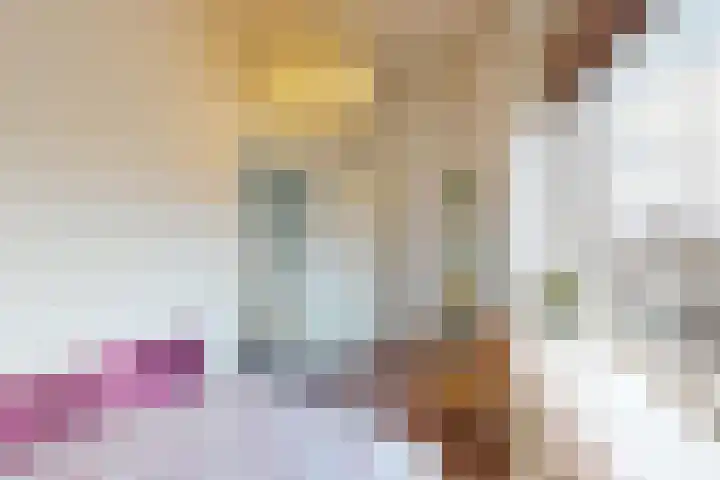 Boompjes 2 Almelo thumbnail 30