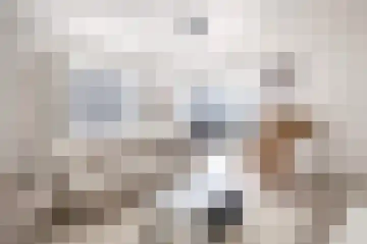 Boompjes 314 Rotterdam thumbnail 13