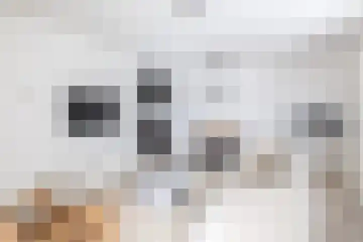 Boompjes 314 Rotterdam thumbnail 14