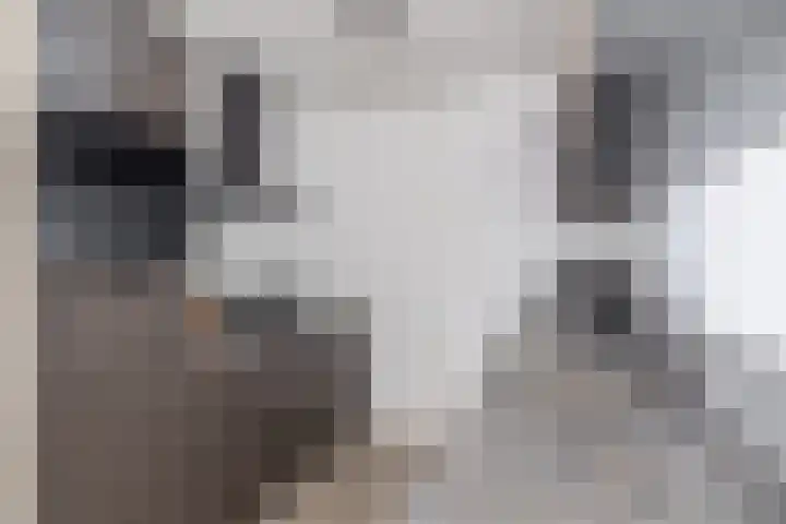 Boompjes 314 Rotterdam thumbnail 16