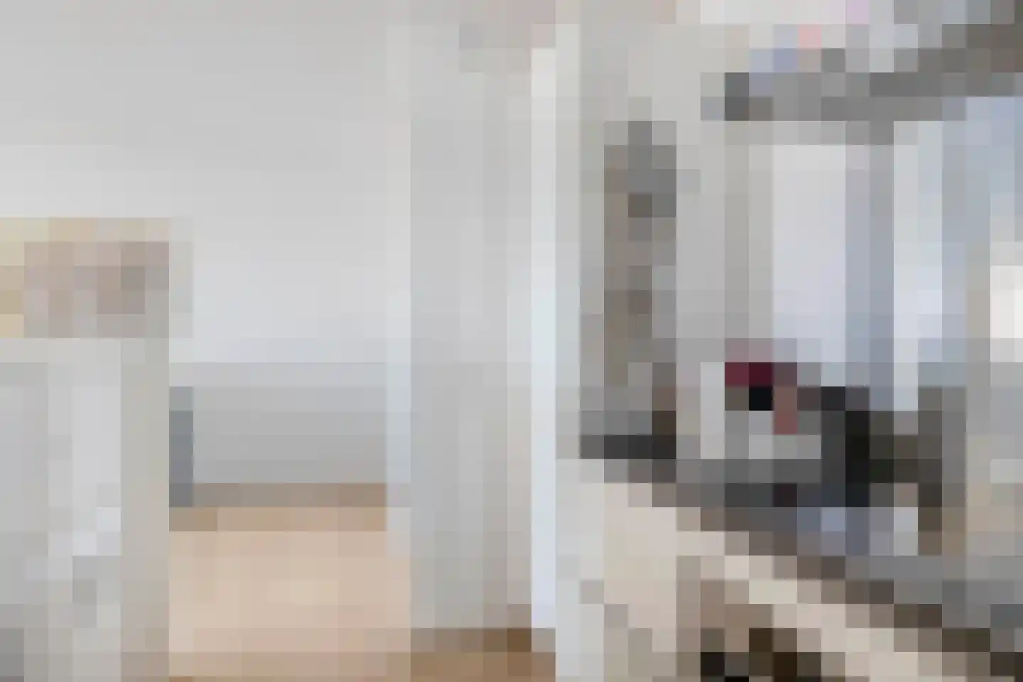 Boompjes 514 Rotterdam thumbnail 16