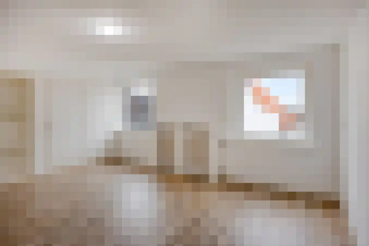 Boompjesstraat 2 Strijen thumbnail 20