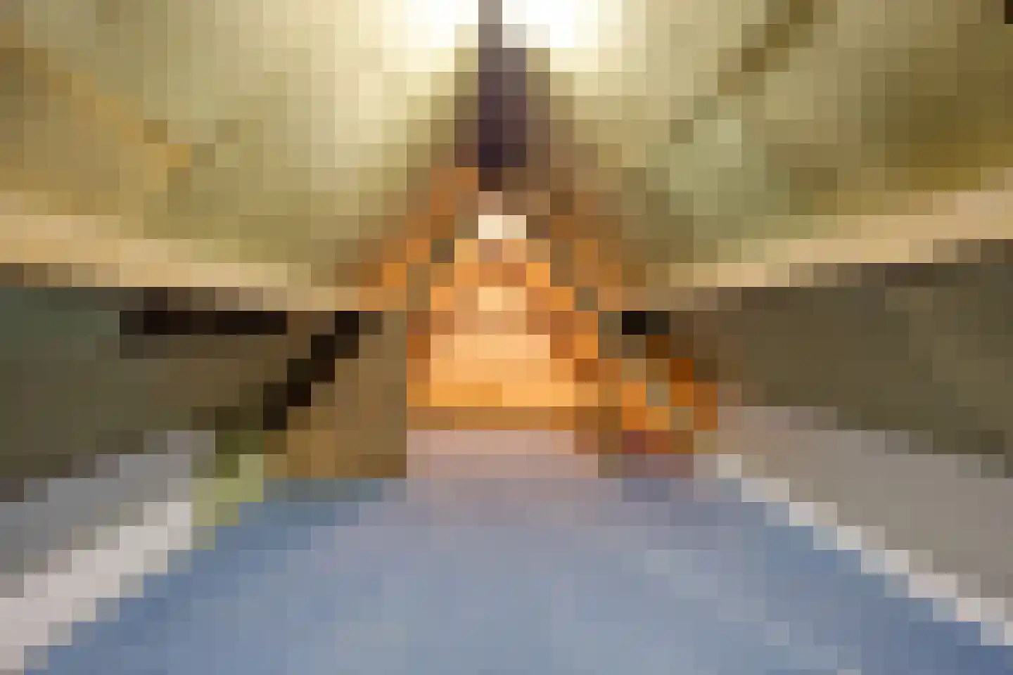 Boompjesstraat 2 Strijen thumbnail 29