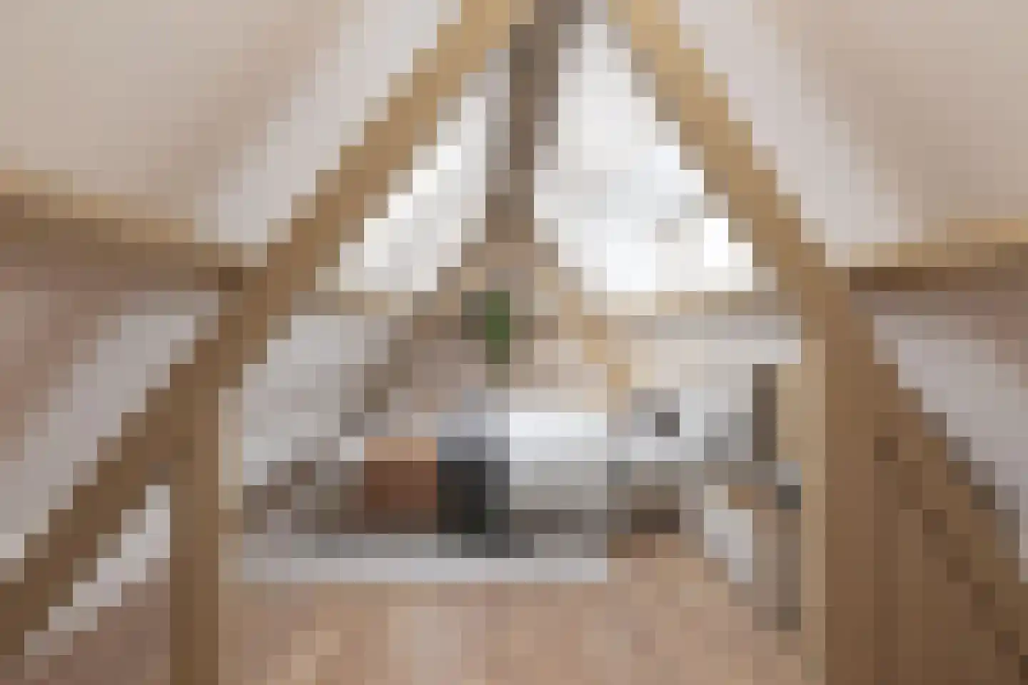 Boompjesstraat 2 Strijen thumbnail 43
