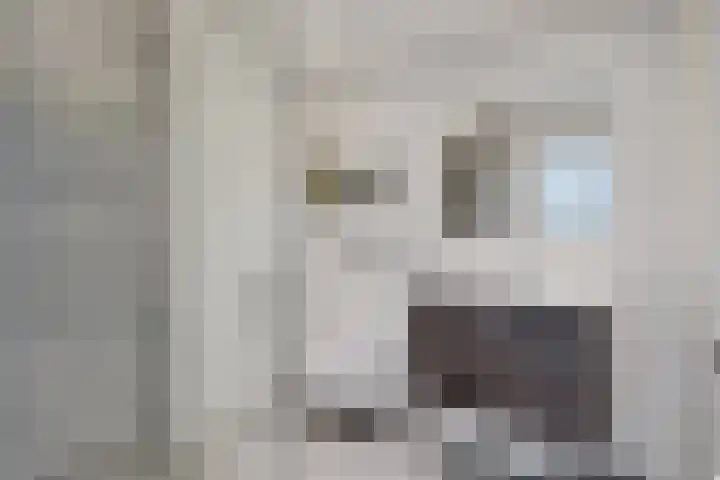 Boomstraat 49 D Amsterdam thumbnail 4