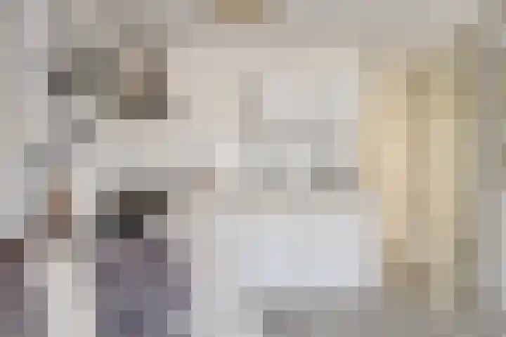 Boomstraat 49 D Amsterdam thumbnail 9