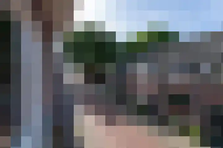 Boomstraat 77 Tilburg thumbnail 31