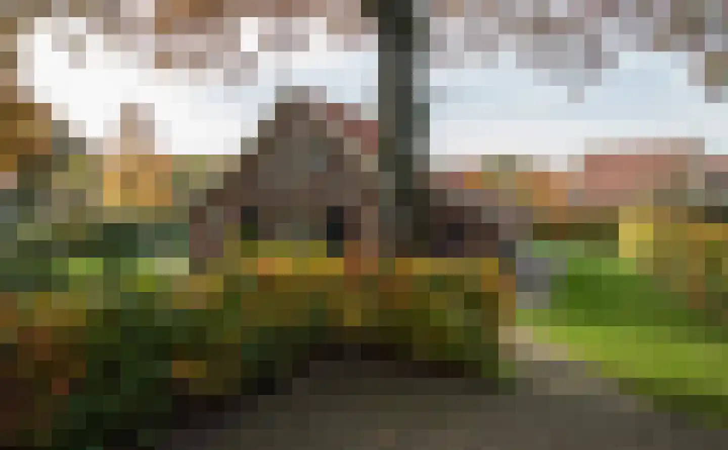 Boomsweg 1 Z130 in Hoge Hexel
