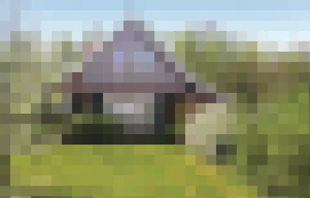 Boomsweg 1 ZH66 in Hoge Hexel