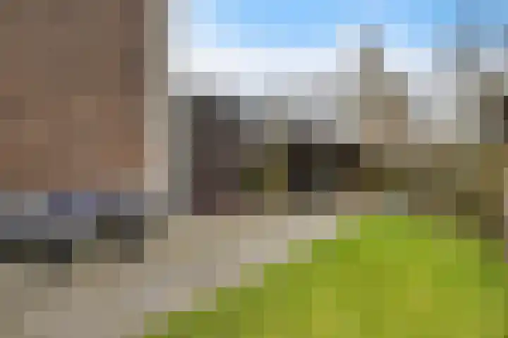 Boonackers 34 Emmen thumbnail 10