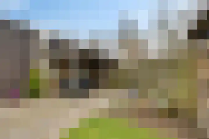 Boonackers 34 Emmen thumbnail 11