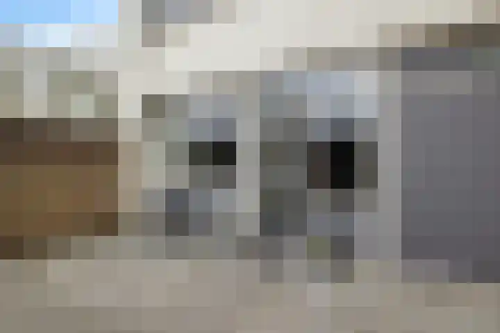 Boonackers 34 Emmen thumbnail 13