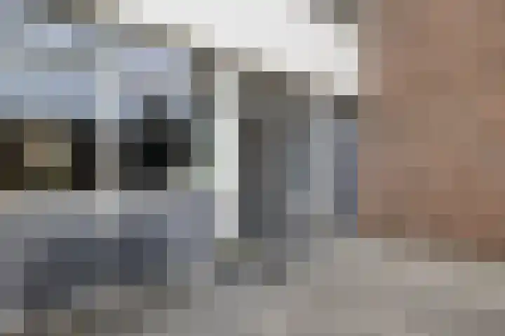 Boonackers 34 Emmen thumbnail 15