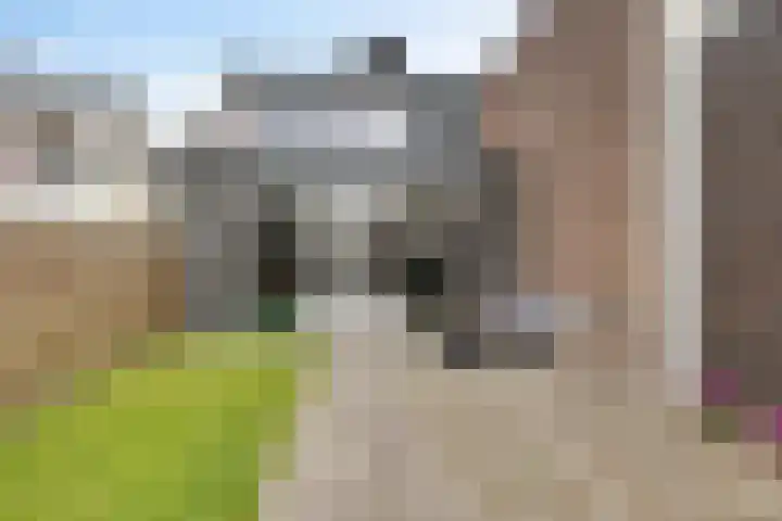 Boonackers 34 Emmen foto 2