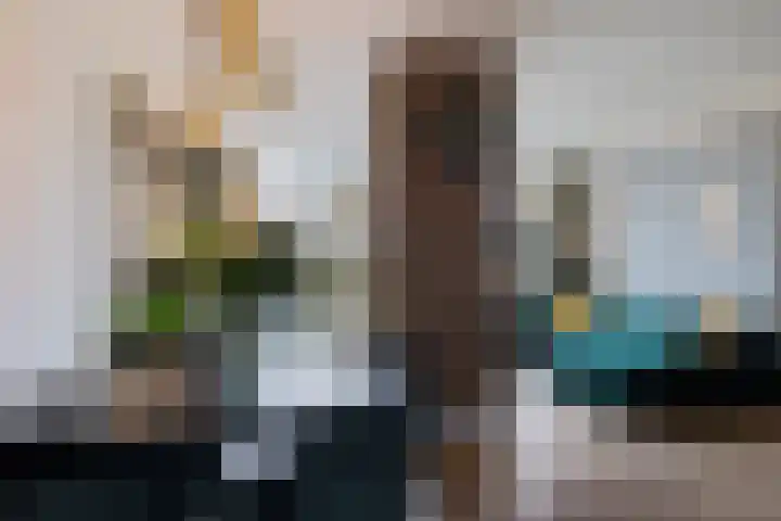 Boonackers 34 Emmen thumbnail 23