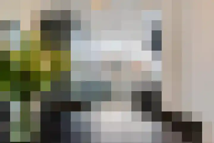 Boonackers 34 Emmen thumbnail 24
