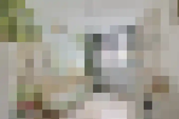 Boonackers 34 Emmen thumbnail 35