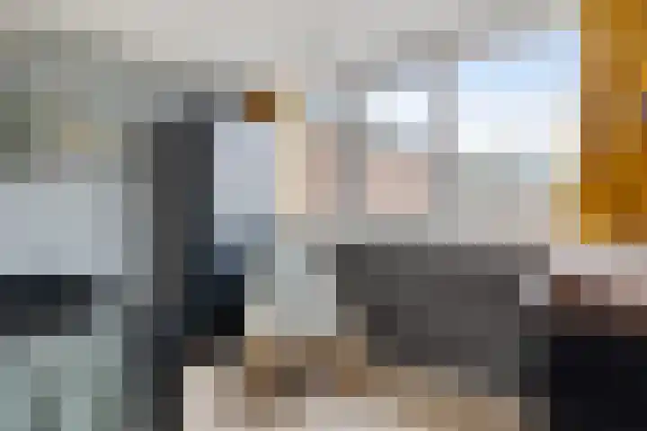 Boonackers 34 Emmen thumbnail 39
