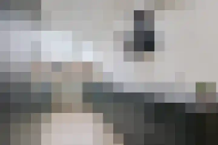 Boonackers 34 Emmen thumbnail 4