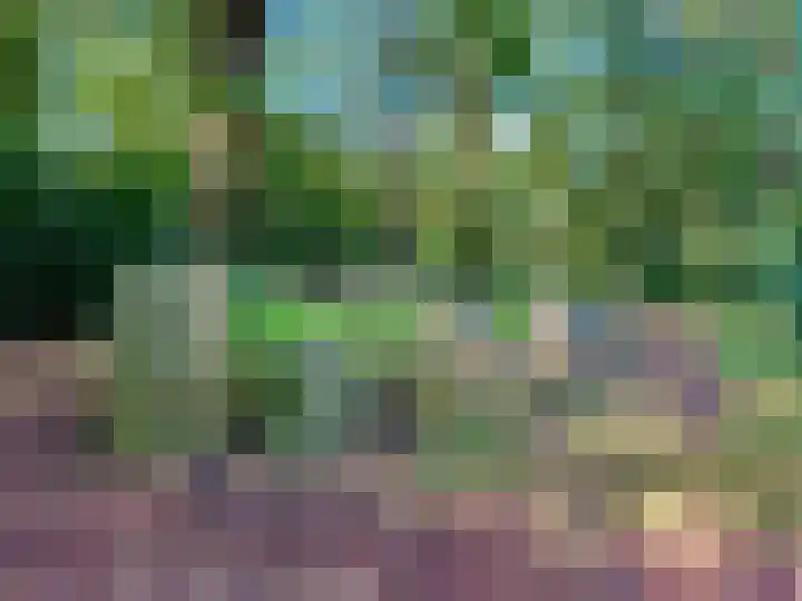 Boonackers 34 Emmen thumbnail 47