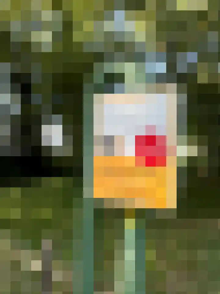 Boonackers 34 Emmen thumbnail 50