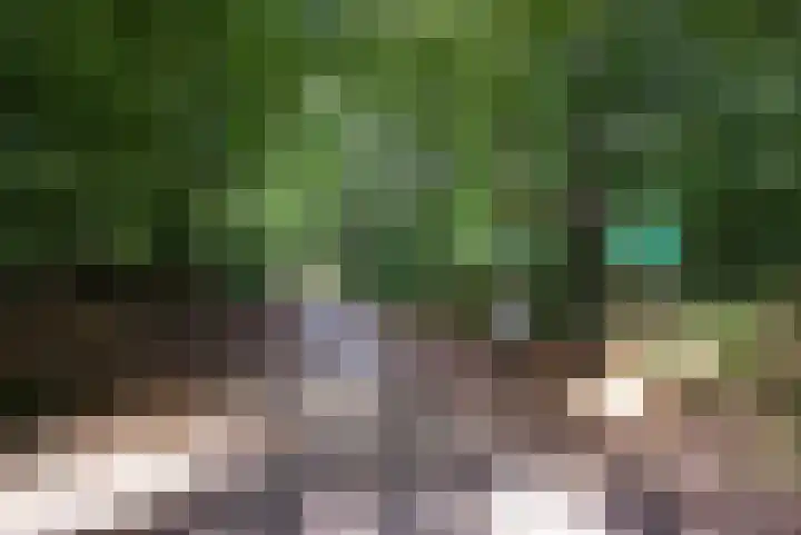 Boonackers 34 Emmen thumbnail 51