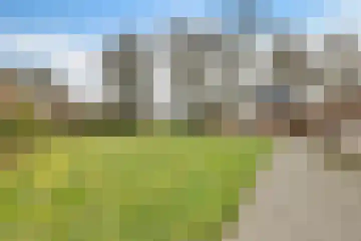 Boonackers 34 Emmen thumbnail 6
