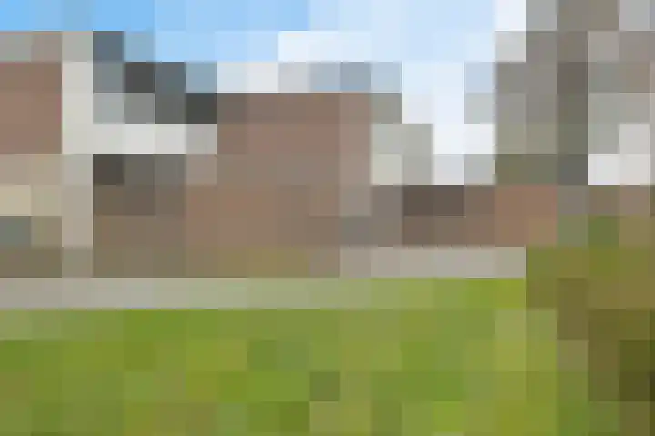 Boonackers 34 Emmen thumbnail 7