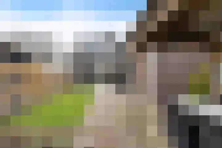 Boonackers 34 Emmen thumbnail 9