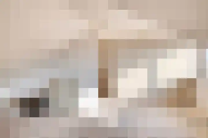 Boonhof 16 Prinsenbeek thumbnail 24