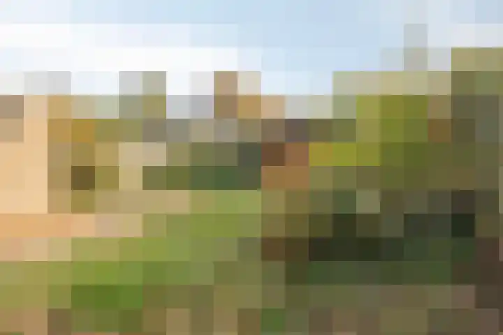 Boonhof 16 Prinsenbeek thumbnail 27