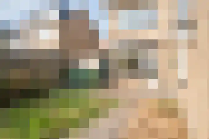 Boonhof 16 Prinsenbeek thumbnail 30