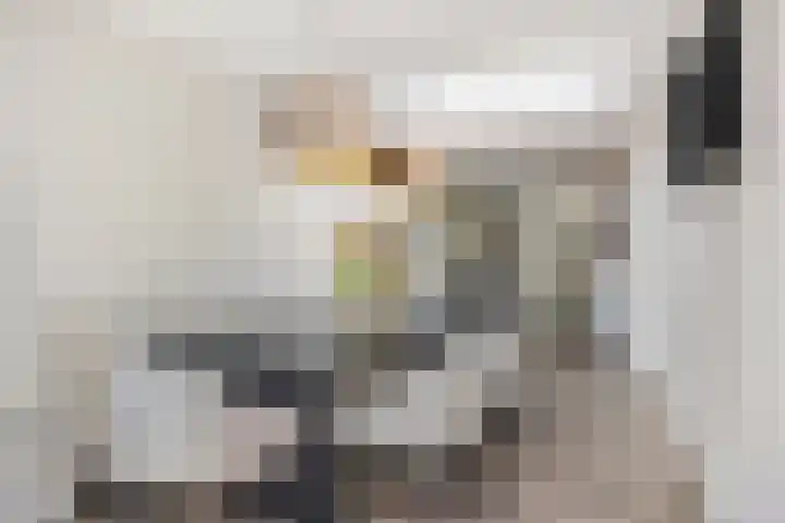 Boontjes 63 Harlingen thumbnail 22