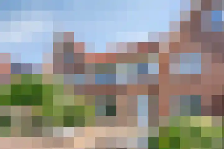 Boontjes 63 Harlingen thumbnail 4