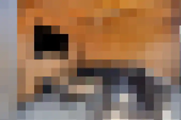 Boontjes 63 Harlingen thumbnail 48