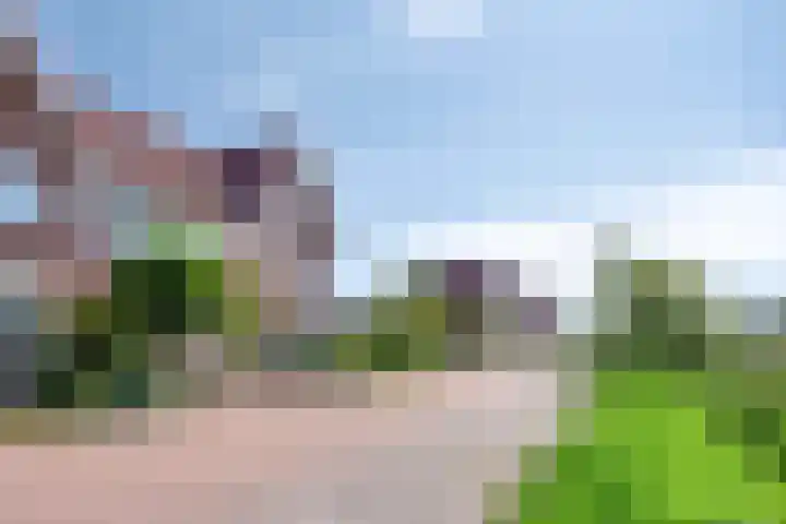 Boontjes 63 Harlingen thumbnail 5